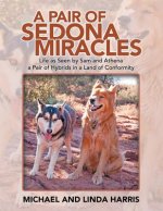 Pair of Sedona Miracles