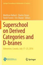 Superschool on Derived Categories and D-branes