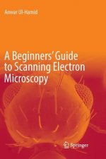 Beginners' Guide to Scanning Electron Microscopy
