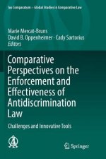 Comparative Perspectives on the Enforcement and Effectiveness of Antidiscrimination Law