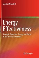 Energy Effectiveness
