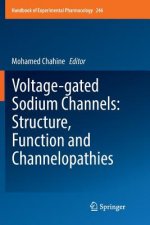 Voltage-gated Sodium Channels: Structure, Function and Channelopathies