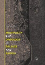 Multiplicity and Ontology in Deleuze and Badiou