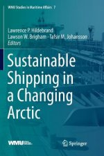 Sustainable Shipping in a Changing Arctic