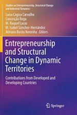 Entrepreneurship and Structural Change in Dynamic Territories