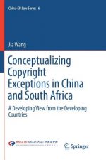 Conceptualizing Copyright Exceptions in China and South Africa