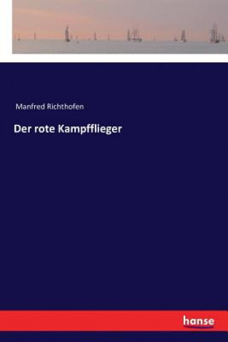 rote Kampfflieger