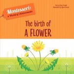 Birth of a Flower