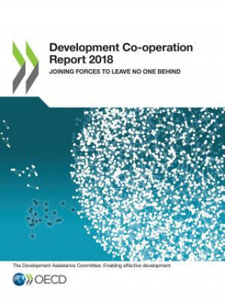 Development co-operation report 2017