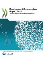 Development co-operation report 2017