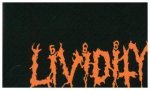 Used, Abused And Left For Dead, 1 Audio-CD