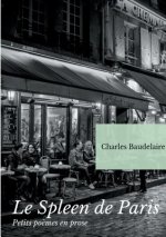 Spleen de Paris (Petits poemes en prose)