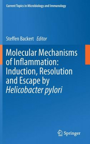 Molecular Mechanisms of Inflammation: Induction, Resolution and Escape by Helicobacter pylori