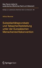Subsidiaritatsgrundsatz und Tatsachenfeststellung unter der Europaischen Menschenrechtskonvention