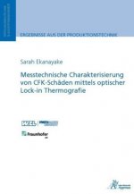 Messtechnische Charakterisierung von CFK-Schäden mittels optischer Lock-in Thermografie