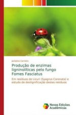 Producao de enzimas ligninoliticas pelo fungo Fomes Fasciatus