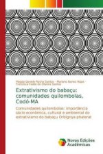 Extrativismo do babacu