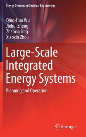 Large-Scale Integrated Energy Systems