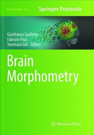 Brain Morphometry