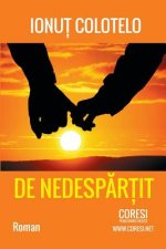 de Nedespartit: Roman
