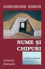 Nume Si Chipuri: Critica Literara