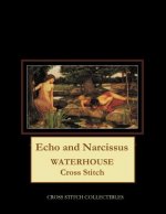 Echo and Narcissus