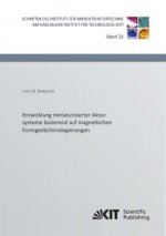 Entwicklung miniaturisierter Aktorsysteme basierend auf magnetischen Formgedächtnislegierungen