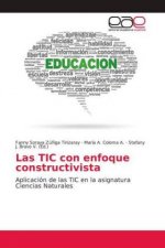 Las TIC con enfoque constructivista