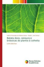 Batata doce, cenoura e brassicas do plantio a colheita