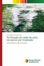 Purificação do caldo de cana-de-açúcar por irradiação