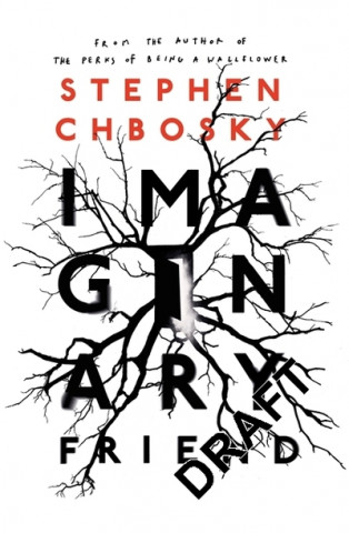 Chbosky, S: Imaginary Friend