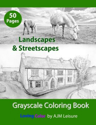 Landscapes & Streetscapes: Adult Grayscale Coloring Book