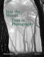 Into the Woods: Trees in Photography