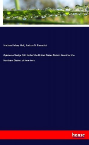 Opinion of Judge N.K. Hall of the United States District Court for the Northern District of New York