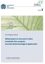 Whole Plant in Vivo and in Silico Metabolic Flux Analysis