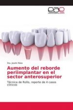 Aumento del reborde periimplantar en el sector anterosuperior