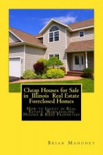 Cheap Houses for Sale in Illinois Real Estate Foreclosed Homes