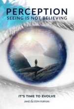 Perception: Seeing is Not Believing