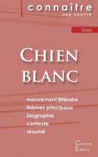 Fiche de lecture Chien blanc de Romain Gary (Analyse litteraire de reference et resume complet)