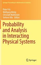 Probability and Analysis in Interacting Physical Systems