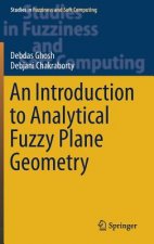 Introduction to Analytical Fuzzy Plane Geometry
