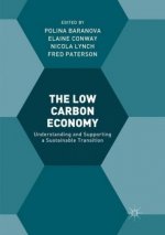 Low Carbon Economy