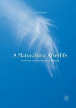 Naturalistic Afterlife