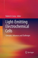 Light-Emitting Electrochemical Cells