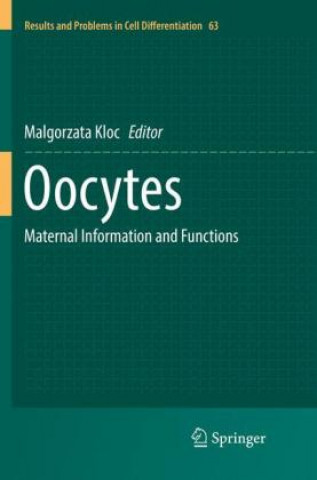 Oocytes