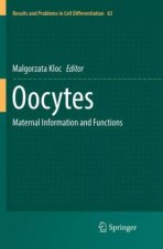 Oocytes