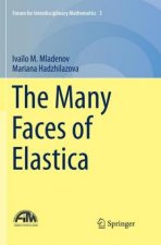 Many Faces of Elastica