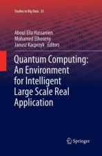 Quantum Computing:An Environment for Intelligent Large Scale Real Application