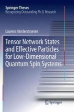 Tensor Network States and Effective Particles for Low-Dimensional Quantum Spin Systems