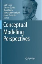 Conceptual Modeling Perspectives